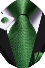 Dubulle Mens Paisely Silk Tie for Men Necktie and Pocket Square Set - Image 2